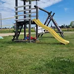 Szary *