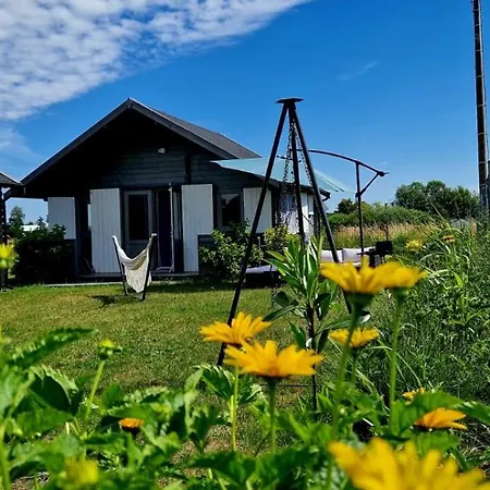 Szary بيت للعطل *